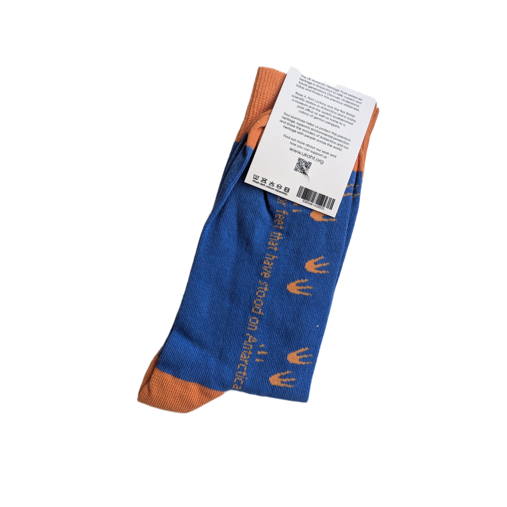 Penguin Footprint Socks (blue)
