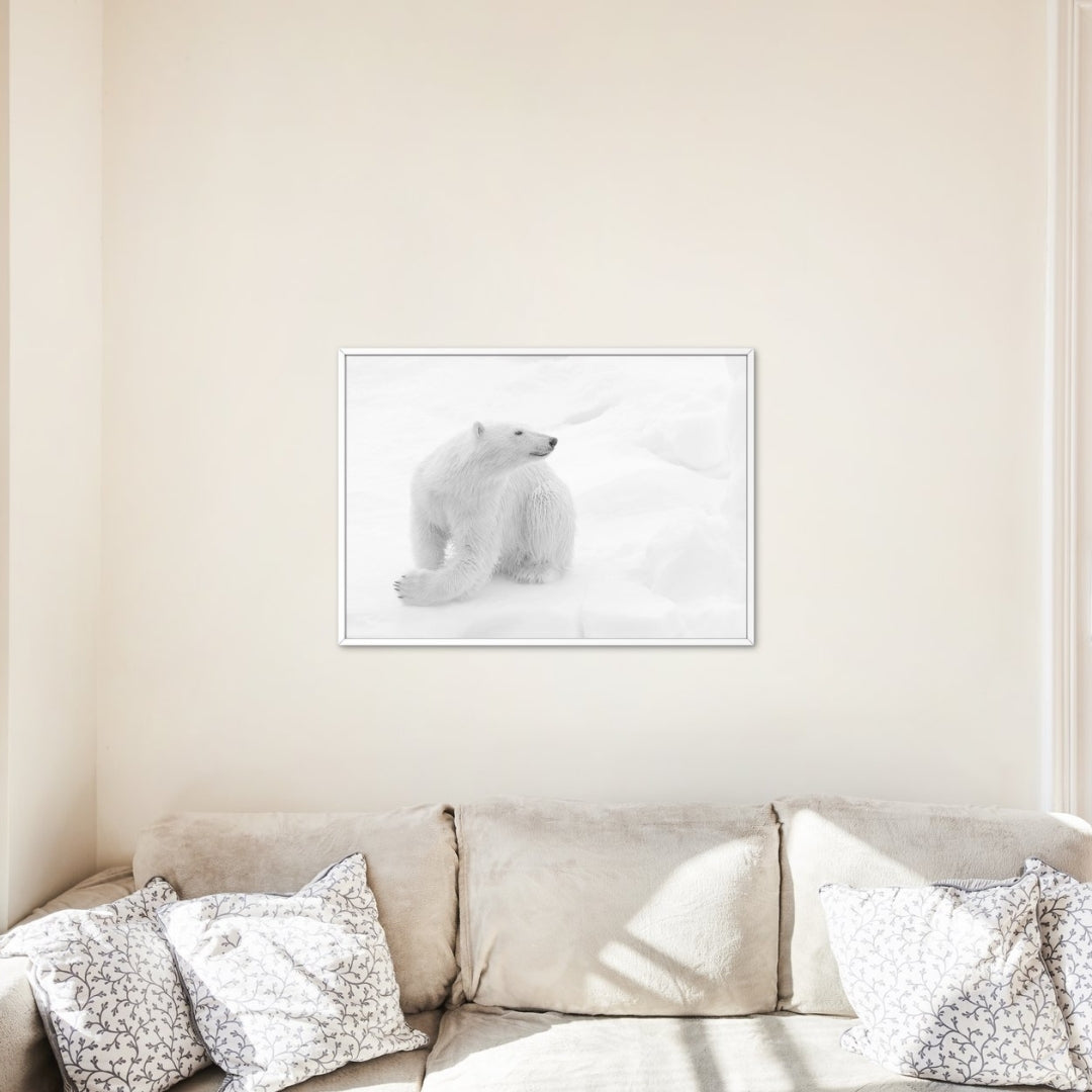 Antarctic Photography Workshop: Tuesday 13 January 2026