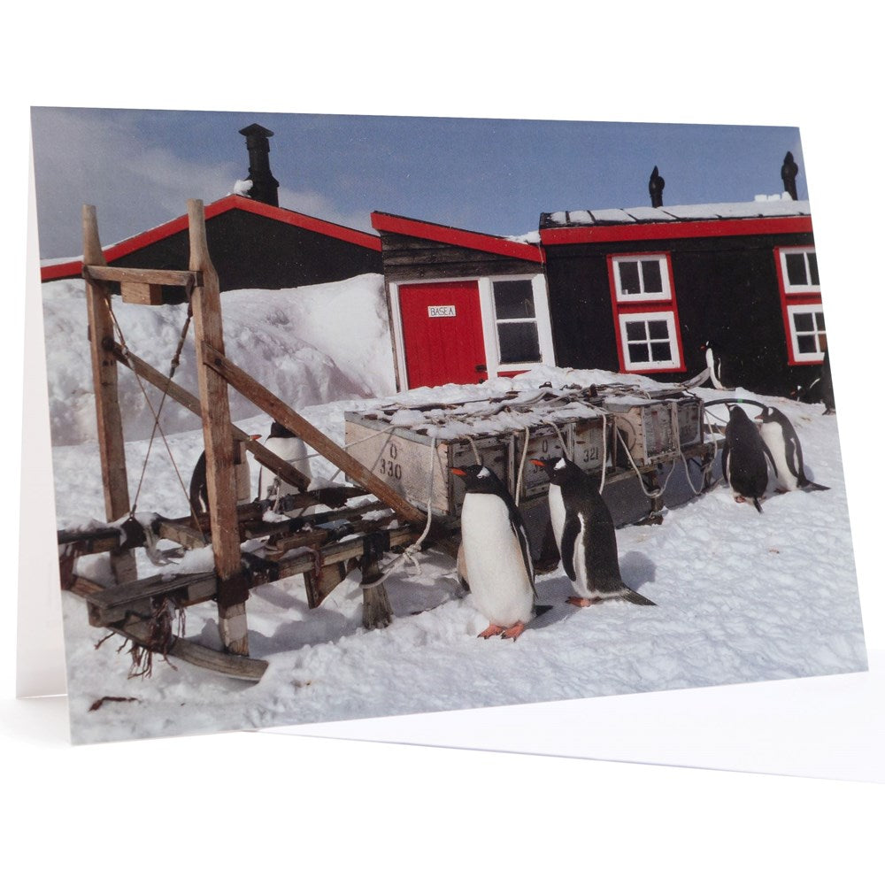 Christmas Card Penguins Sledge 6 pk