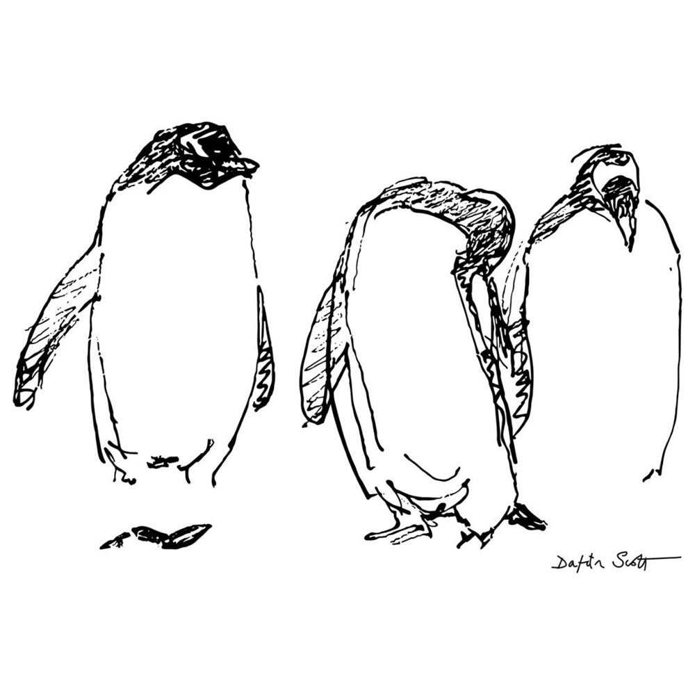 Penguin Giclée Print by Dafila Scott