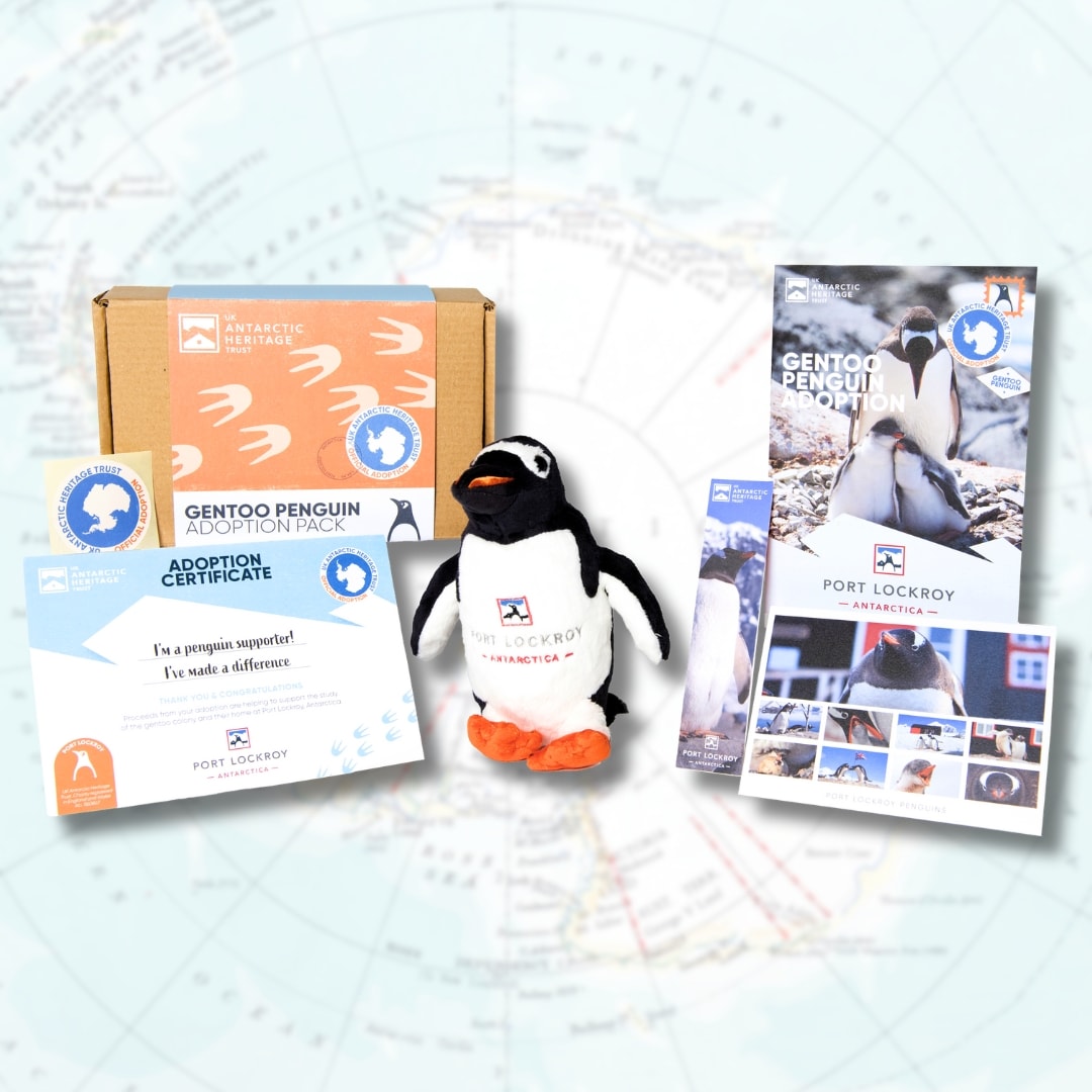 Adopt a Penguin GIFT