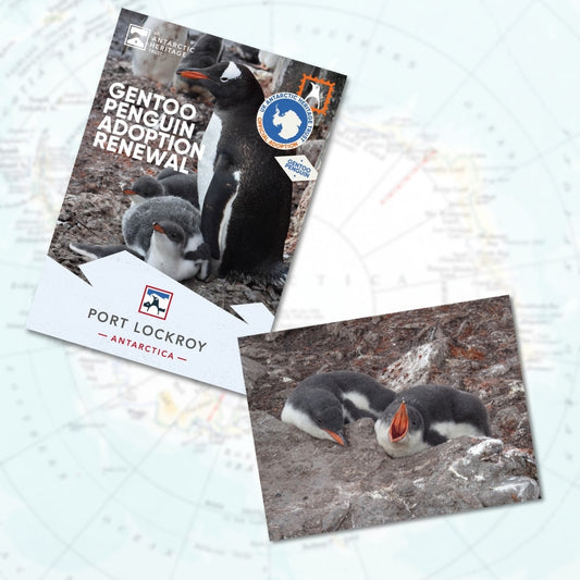 Adopt a Penguin RENEWAL