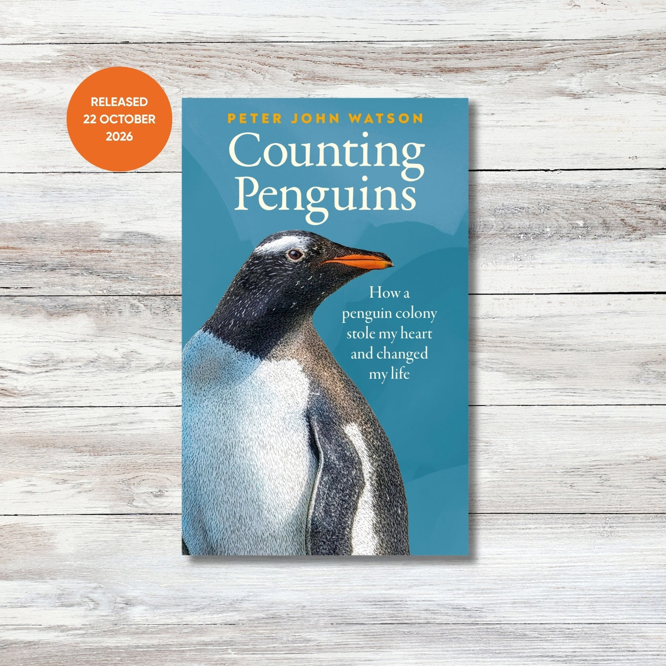 Counting Penguins: How a Penguin Colony Stole My Heart and Changed My Life