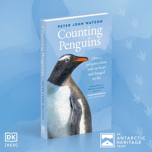 Counting Penguins: How a Penguin Colony Stole My Heart and Changed My Life