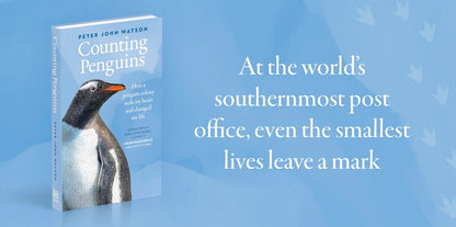 Counting Penguins: How a Penguin Colony Stole My Heart and Changed My Life