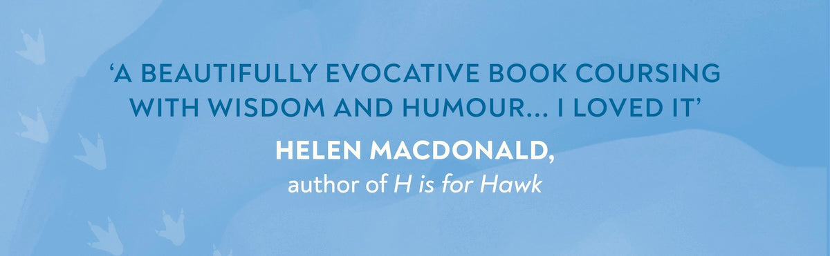 Counting Penguins: How a Penguin Colony Stole My Heart and Changed My Life