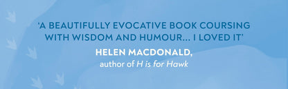 Counting Penguins: How a Penguin Colony Stole My Heart and Changed My Life