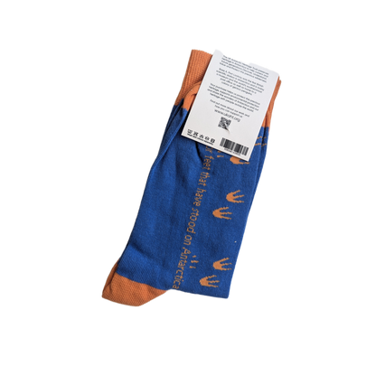 Penguin Footprint Socks (blue)