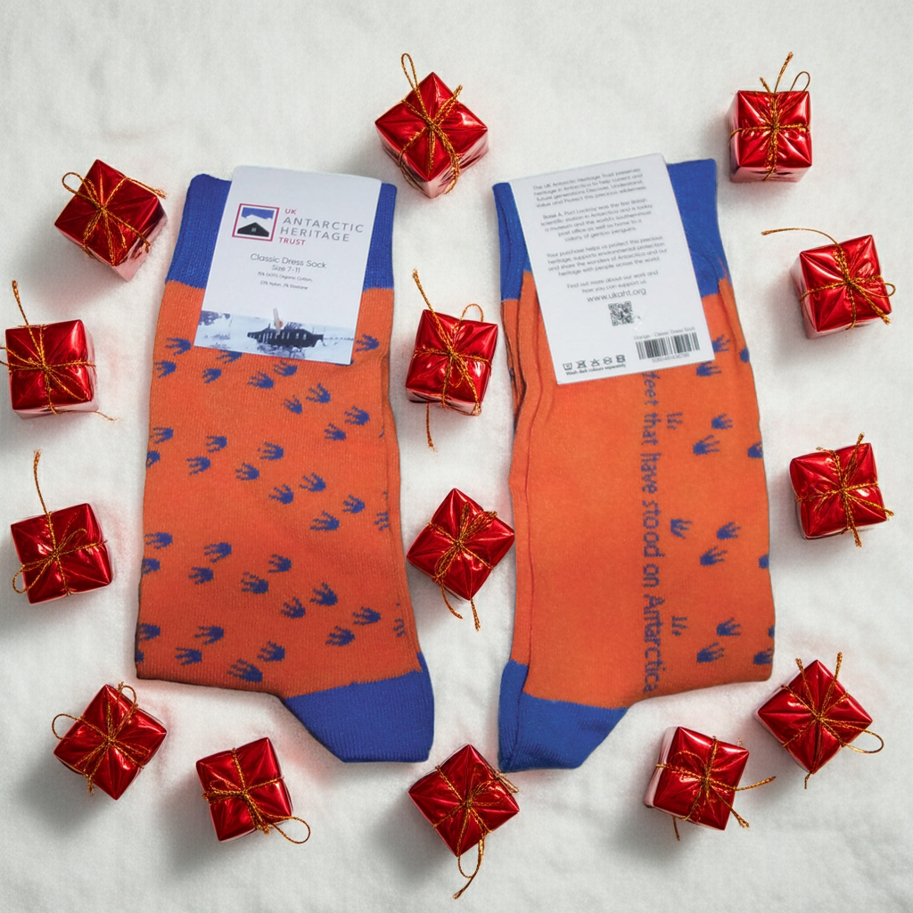 Penguin Footprint Socks (orange)