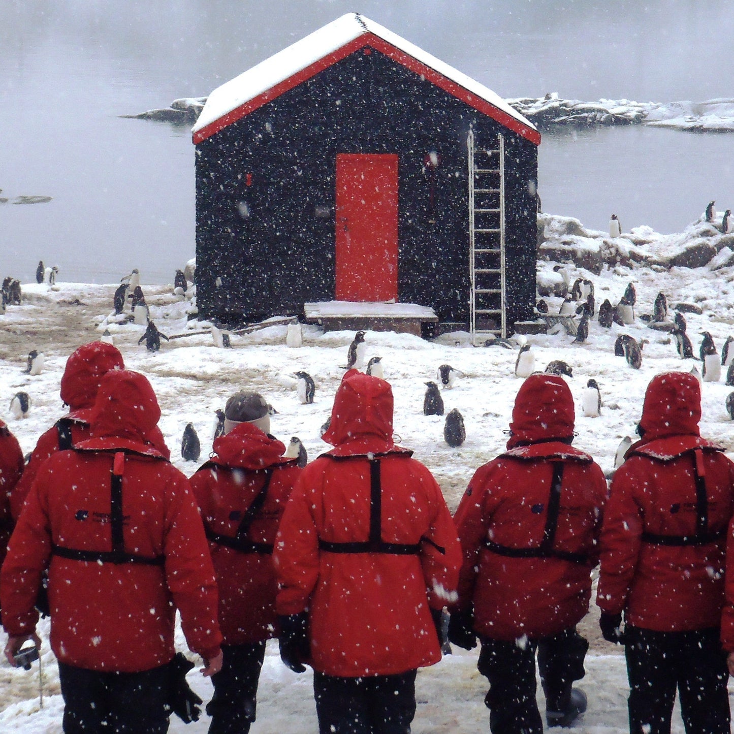 Port Lockroy Patron Membership