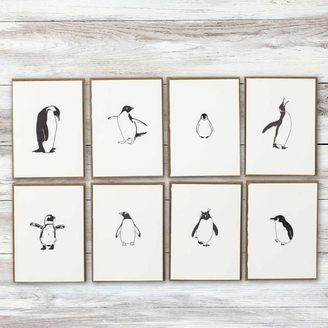 Penguin Species Notecards (8pk) – UK Antarctic Heritage Trust