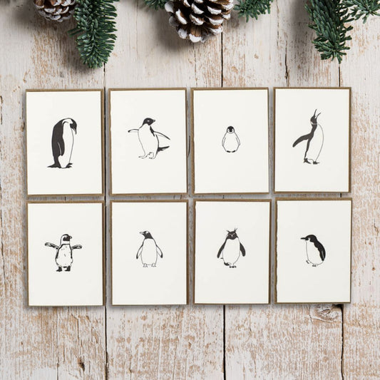 Penguin Species Notecards (8pk)