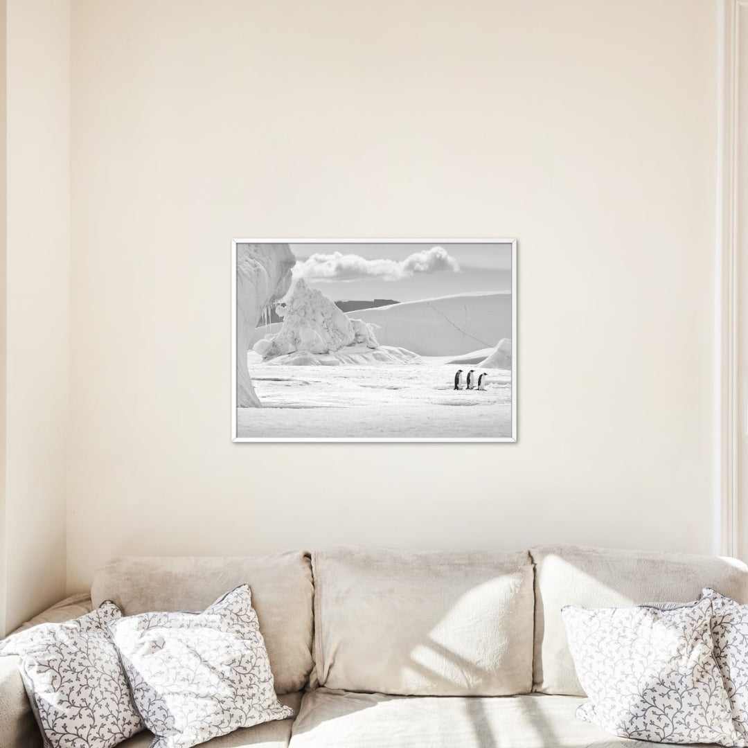 Antarctic Photography Workshop: Tuesday 13 January 2026