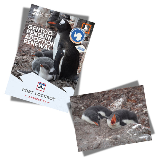 Adopt a Penguin RENEWAL