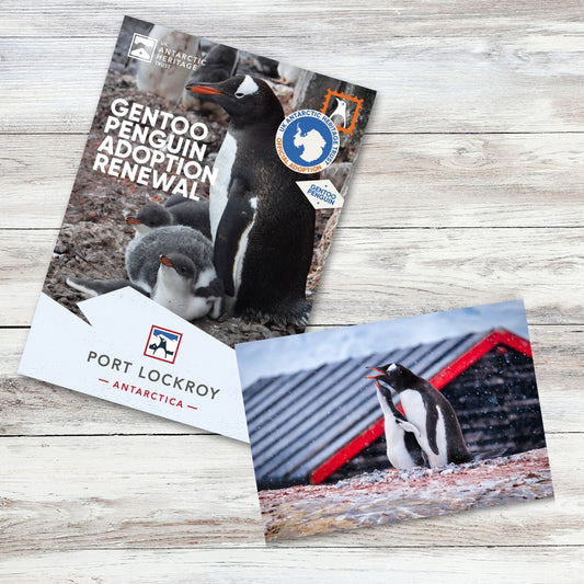 Adopt a Penguin RENEWAL