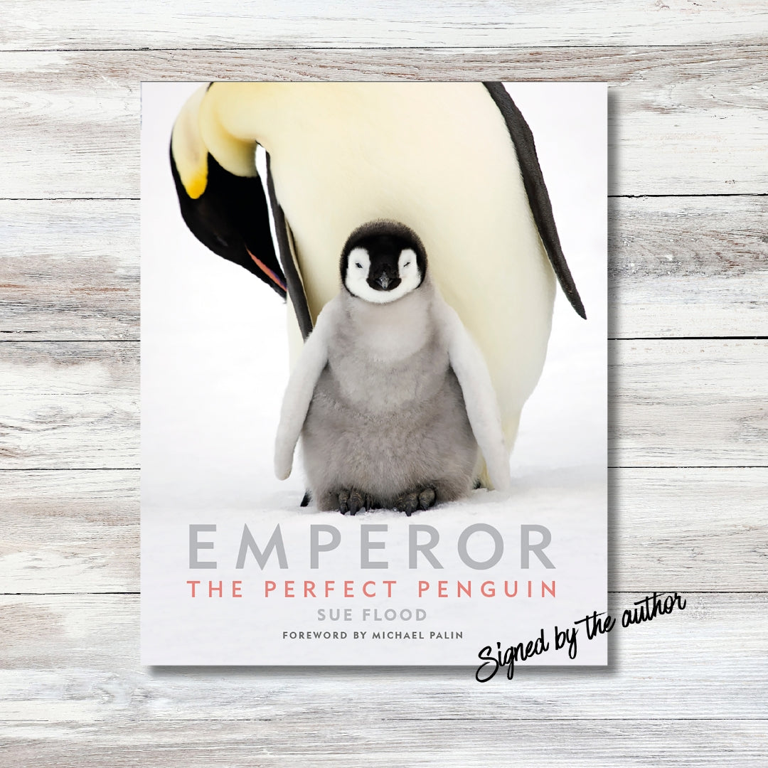 Antarctic Photography Workshop: Tuesday 13 January 2026