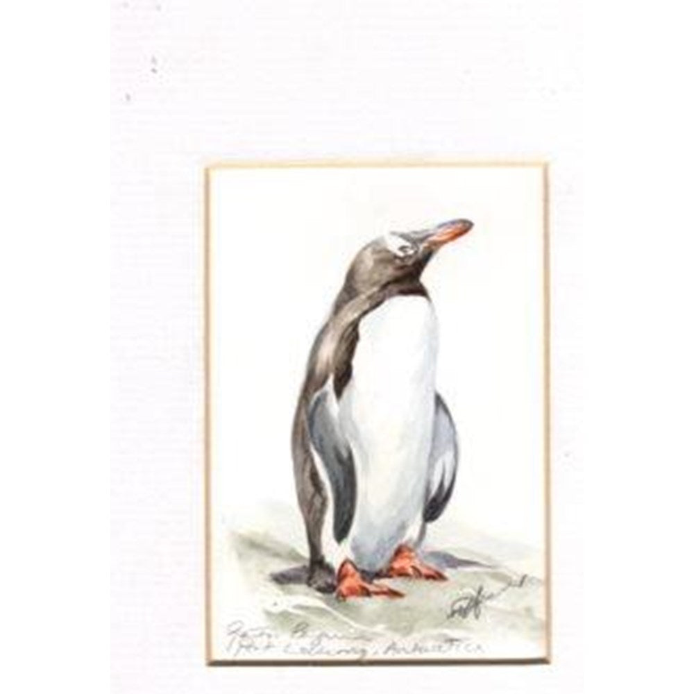 Gentoo Watercolour, by Una Hurst